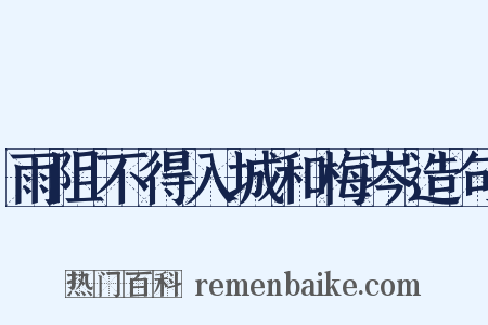 雨阻不得入城和梅岑造句是什么意思的图片